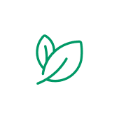 Naturheilverfahren — Beispiel für Akupunktur, Osteopathie oder Homöopathie Grüne Linienzeichnung: Zwei Blätter mit Stiel.